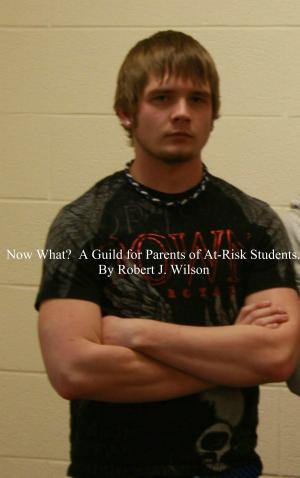 Book cover of Now What? A Guide for Parents of At-Risk High School Students