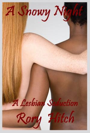 Cover of the book A Snowy Night: An Erotic Lesbian Seduction by Elaine Barris