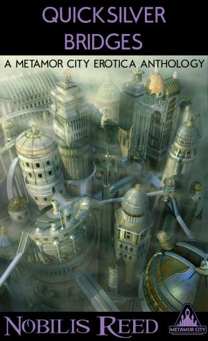 Cover of the book Quicksilver Bridges by Stanley Rand