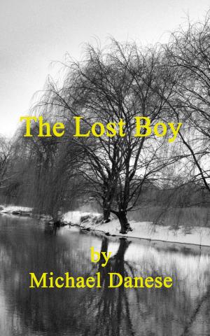Cover of the book The Lost Boy by Maxine Turner, Christopher C. Page