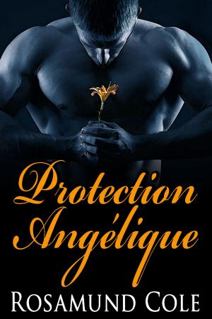 Book cover of Protection Angélique