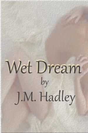 Cover of the book Wet Dream (Cocktail Series #2) by J.M. Hadley