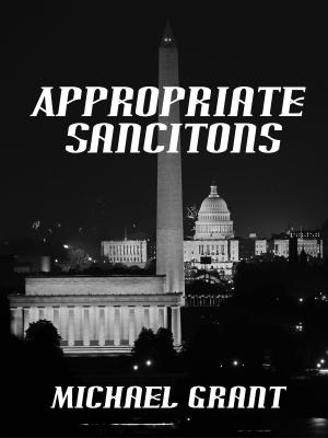 Cover of the book Appropriate Sanctions by Steve Lake