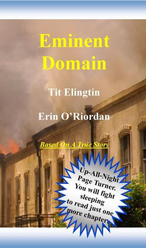 Cover of the book Eminent Domain by Christopher Howard Lincoln