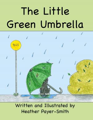 Book cover of The Little Green Umbrella