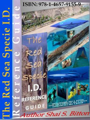 Book cover of The Red Sea Specie I.D. Reference Guide
