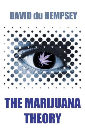 Cover of the book The Marijuana Theory by Andrew Bamber
