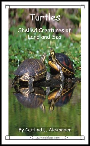 Cover of the book Turtles: Shelled Creatures of Land and Sea by Jeannie Meekins