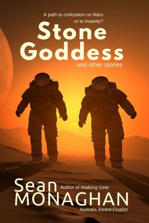 Cover of the book Stone Goddess by Len Stone