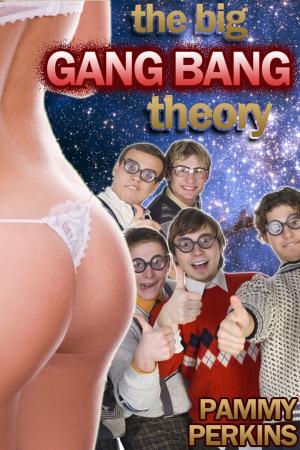 Cover of the book The Big Gang Bang Theory by Attero