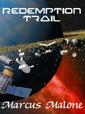 Cover of the book Redemption Trail by Joshua Palmatier, Patricia Bray, Seanan McGuire