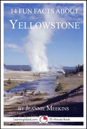 Cover of the book 14 Fun Facts About Yellowstone: A 15-Minute Book by Maureen F. Musumeci