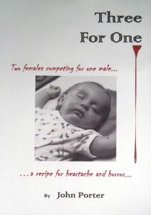 Cover of the book Three For One by John Porter