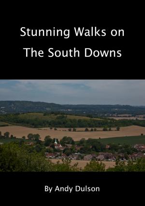 Cover of the book Stunning walks on the South Downs by Gary Kraus