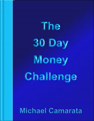 Cover of The 30 Day Money Challenge