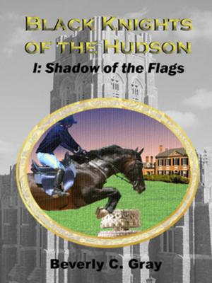 Cover of Black Knights of the Hudson Book I: Shadow of the Flags