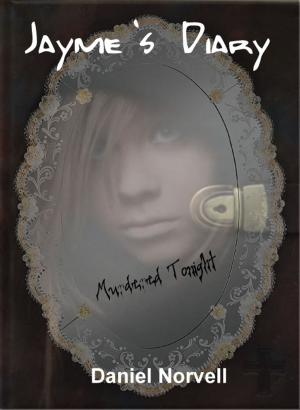 Book cover of Jayme's Diary