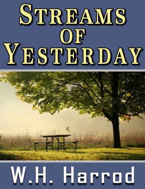 Cover of the book Streams Of Yesterday by Linda Fausnet