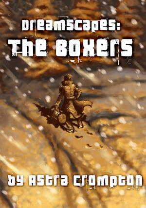 bigCover of the book Dreamscapes #1: The Boxers by 