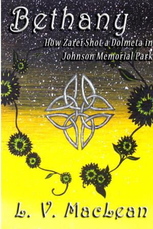 Cover of the book Bethany, or How Zarei Shot a Dolmeta in Johnson Memorial Park by L.E. Muesch