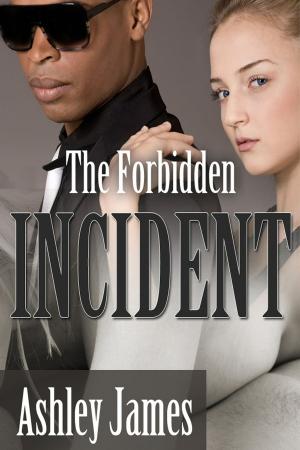 bigCover of the book The Forbidden Incident by 