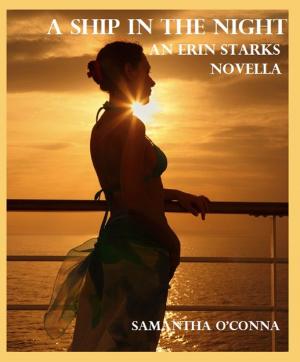 Cover of the book A Ship in the Night by Gina Ardito