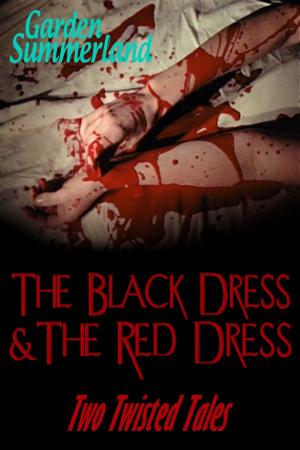 Book cover of The Black Dress & The Red Dress Two Twisted Tales