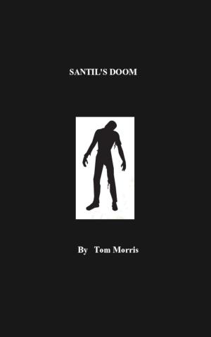 bigCover of the book Santil's Doom by 