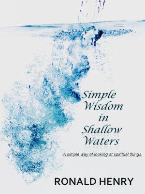 Cover of the book Simple Wisdom in Shallow Waters by Sophia Ava Turner