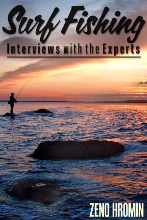 Cover of the book Surf Fishing, Interview with the Experts by Lenny Rudow