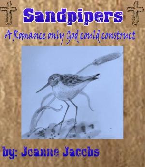 Cover of the book Sandpiper by Robert Carter