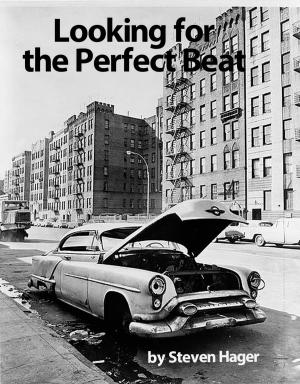 Cover of the book Looking for the Perfect Beat by Steven Hager