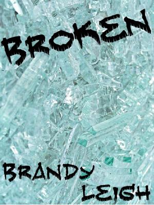 Cover of the book Broken by Denisa Stanislav