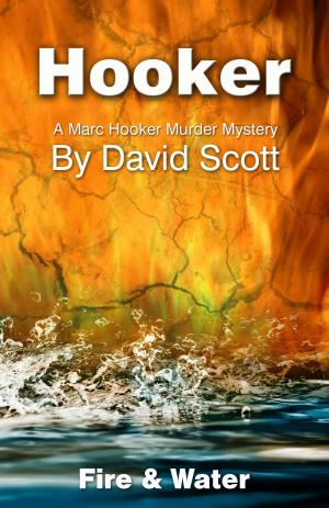 Cover of the book Hooker: Fire & Water by Paul Stegweit