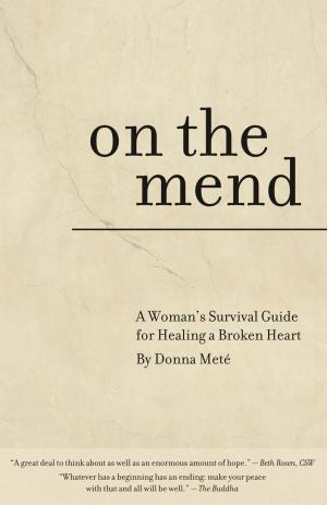 Cover of the book On the Mend by Anuj verma