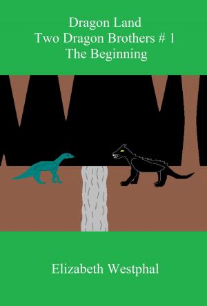 Cover of Dragon Land: Two Dragon Brothers # 1: The Beginning