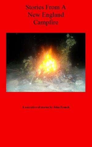 Cover of the book Stories From A New England Campfire by C.N.Lesley