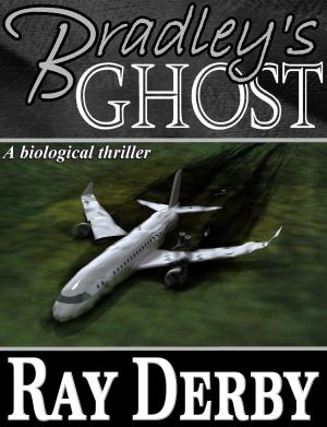 Cover of the book Bradley's Ghost by Joshua Cox-Steib