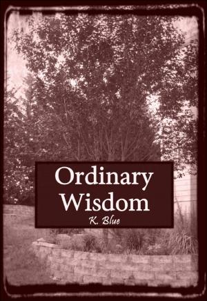 Cover of the book Ordinary Wisdom by Roxana Jones