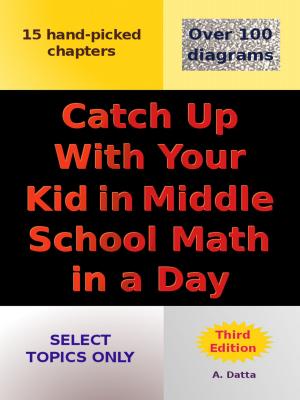 Book cover of Catch Up With Your Kid in Middle School Math in a Day
