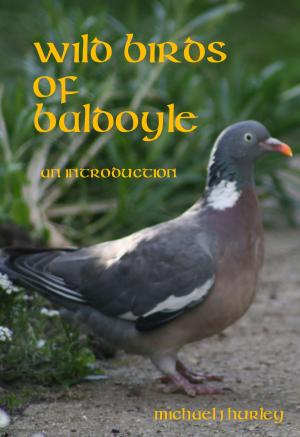 Book cover of Wild Birds of Baldoyle: An Introduction