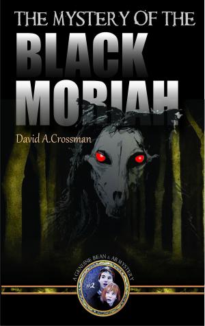 Cover of The Mystery of the Black Moriah: the second Bean and Ab mystery