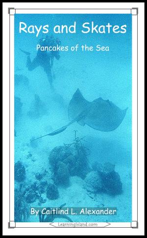 Book cover of Rays and Skates: Pancakes of the Sea