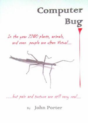Cover of the book Computer Bug by John Porter