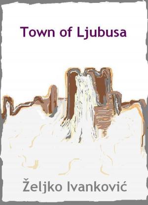 Cover of the book The Town of Ljubusa by Sefik Daupovic - Fiko