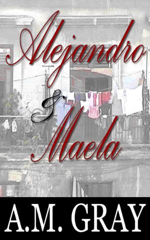 Book cover of Alejandro & Maela