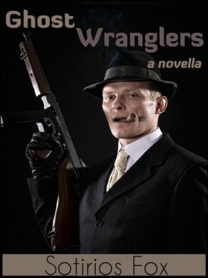 Cover of the book Ghost Wranglers by Matt Hilton