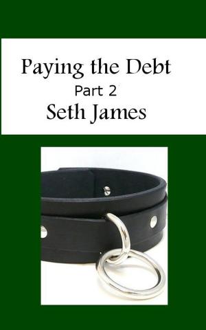 Cover of the book Paying the Debt, Part 2 by Anne Stuart