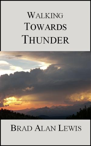 Cover of the book Walking Towards Thunder by Maggie Christensen