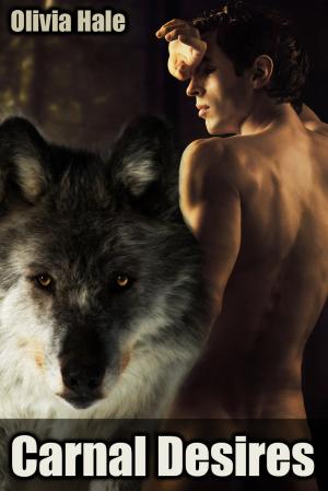 Cover of the book Carnal Desires by CC Corrigan